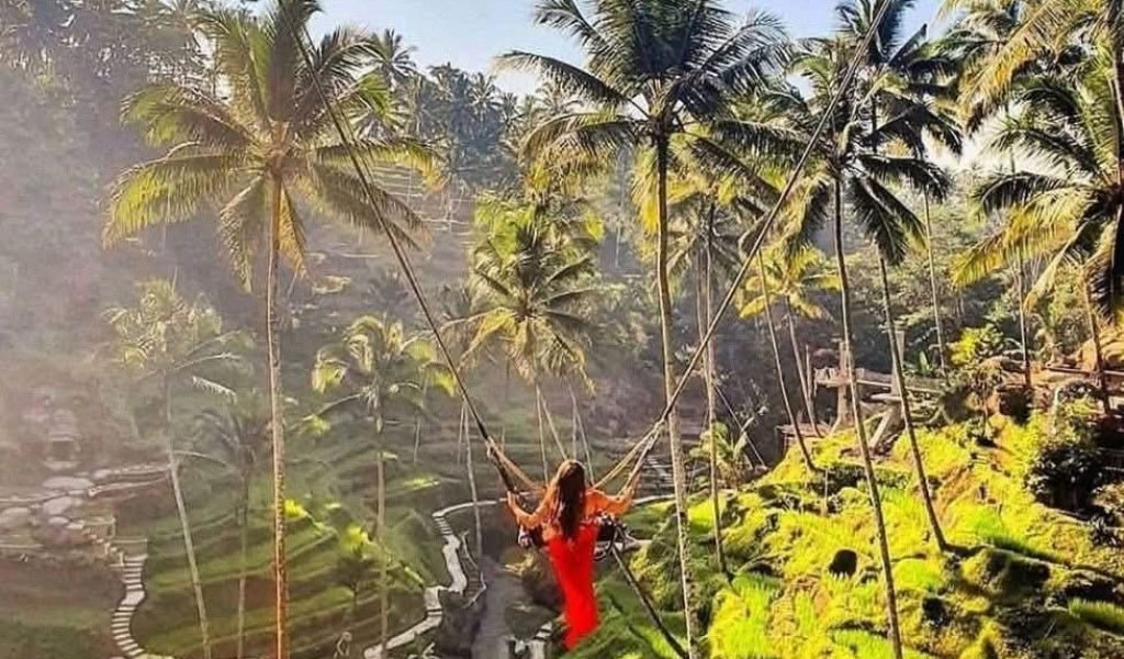 FB_IMG_1768147199318